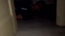 Paranormalne aktivity