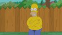 Homer Simpson Ice Bucket Challenge