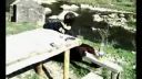The Best Le Parkour