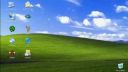 Msn vs. Icq