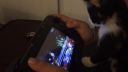 Mappy drtí Wii U
