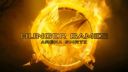 Hunger Games (2012) - Celý film online (odkaz v popisu)