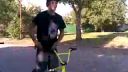 Kiri na BMX