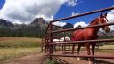 Wyoming - It's All About The Nature