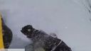 Best of the 2012 / 2013 Snowboarding