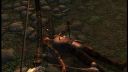 The Elder Scrolls IV - Oblivion 3