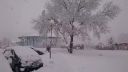 Sneženie v Bratislave 30.1.2015