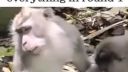 Keď si jej sľúbil 2 kolo