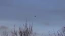 UFO? Is it true?