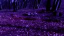 Lesomania