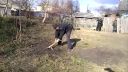 video Na montážnu penu sekerou (Rusko)