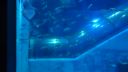 Hakkeijima Aquarium