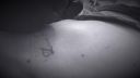 TATTOO LOVE PEACE HARMONY