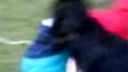 JOZO A ((NELA))