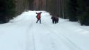 video Čo spraviť, keď na vás zaútočí medveď?