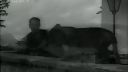 Hitlerovi muži 4 - Hermann Göring - druhý muž