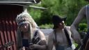 Steve'n' Seagulls - The Trooper (LIVE HD) farm - version