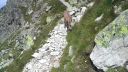 Tatry 2015