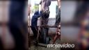 video Ľudské kladivo (Thajsko)