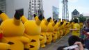 Pikachu festival Yokohama 2015