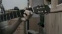 STALKER GITARA 2