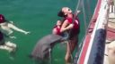 video Delfín slečne 