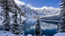 Frozen