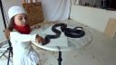 video Oživil jedovatého hada pomocou farieb!