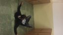 Slovenský Bruce Lee 2