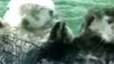 Holding hands
