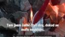 Angela Merkelová. Najnovšie správy z domova  Merkelová, pros