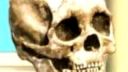 Six Feet Under - Amerika The Brutal