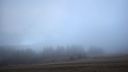 Sound of Silence