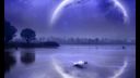 Nirvana - Where Did You Sleep Last Night - D. Videos