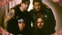 Sepultura - Roots - D.Videos