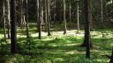Vangelis - Page of life - D.Videos