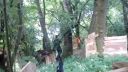 Airsoft Les
