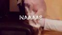 Náš bláznivy pes