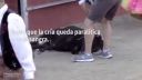 Baby corrida