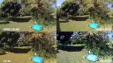 Test kamier Gopro 5 black vs 4 black vs YI 4k vs Git2
