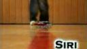 Siri c - walk mixtape