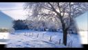 Cinderella -  Long Cold Winter -  D . Videos
