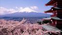 DEEP PURPLE - Woman From Tokyo - D.Videos