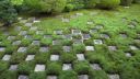 Japanese Garden Meditation. - D.Videos