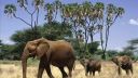 Ismael - lo - Senegal - Jammu - Africa - D.Videos