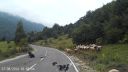 video Albánska pastierka si to rozdala s baranom