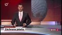 Záchrana jeleňa - reportáž (JOJ paródia)