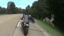 video Jeleň dal dole motorkára (USA)