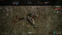 Rage v Last Man Standing