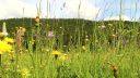 Muránska Planina a Muránsky Hrad